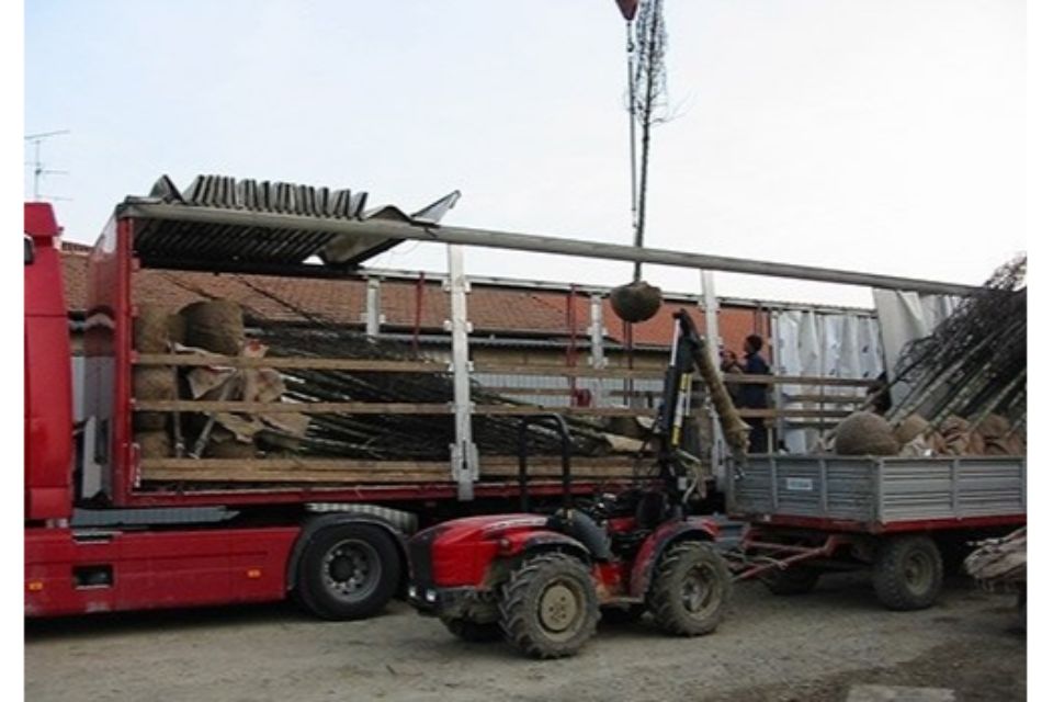 camion per trasporto arbusti