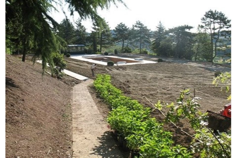 semina e piantumazione