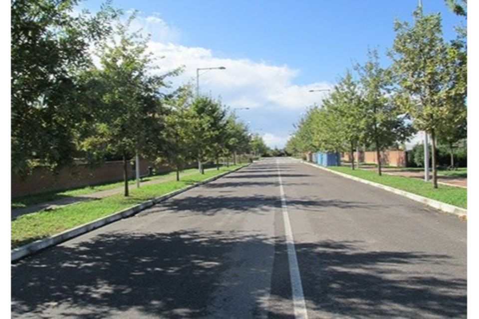 viale alberato pubblico