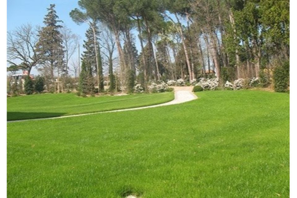 viale di un giardino