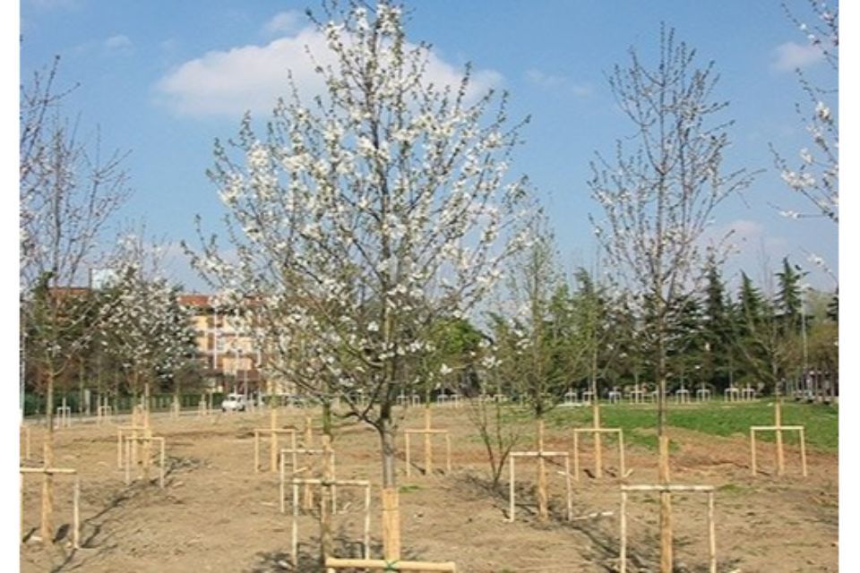 progettazione parco pubblico