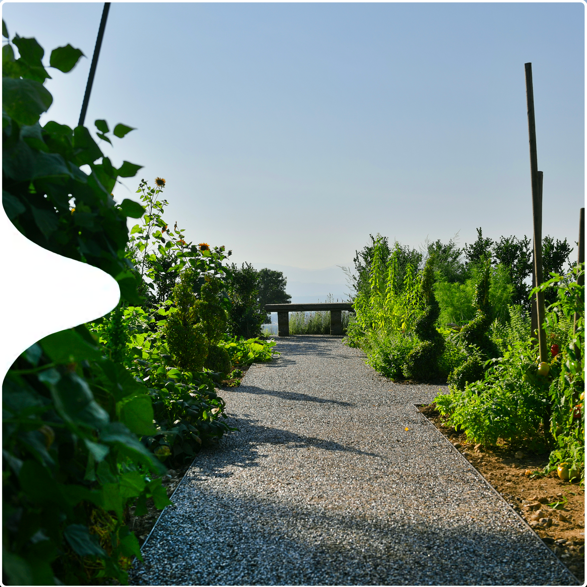 potager