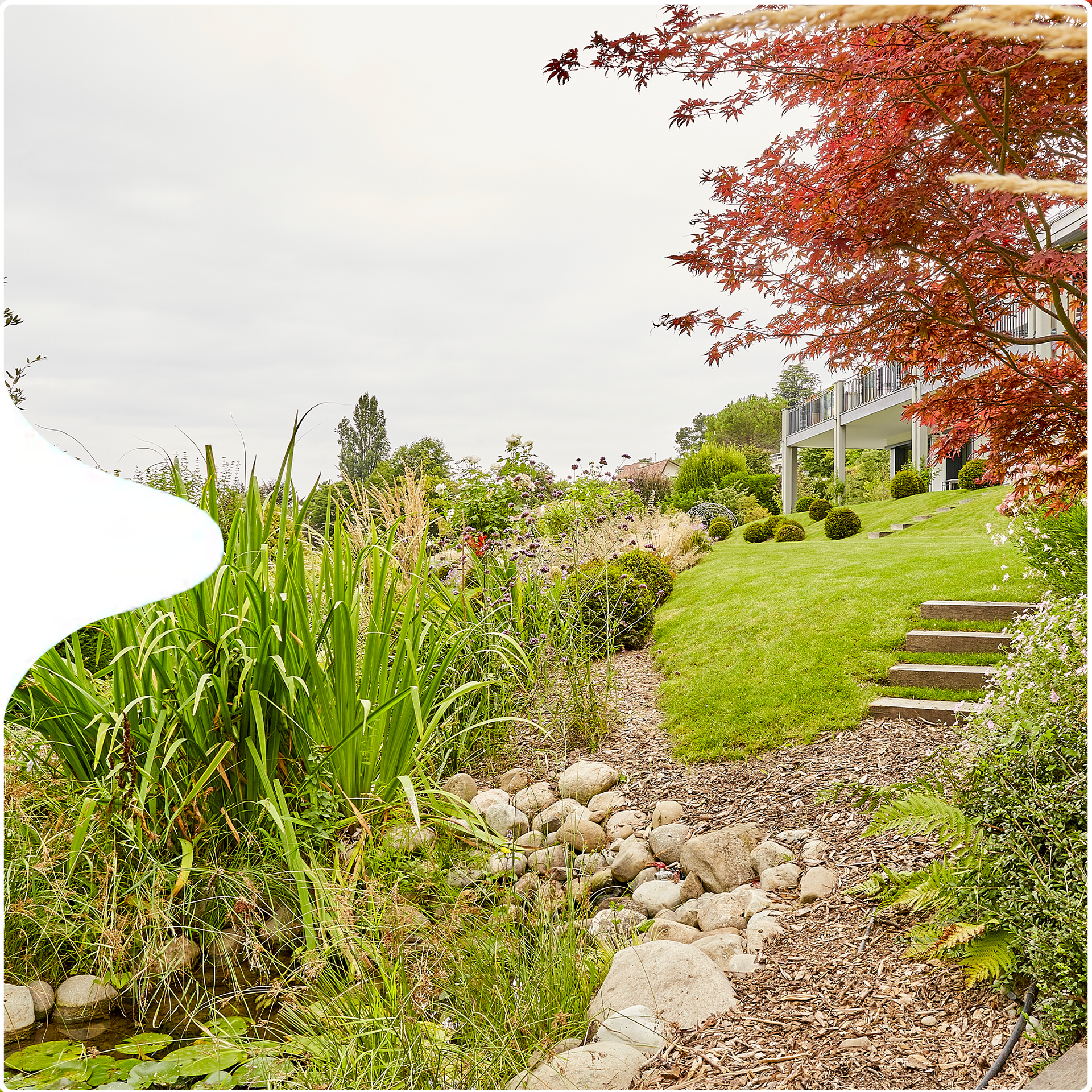 Jardin et bassin