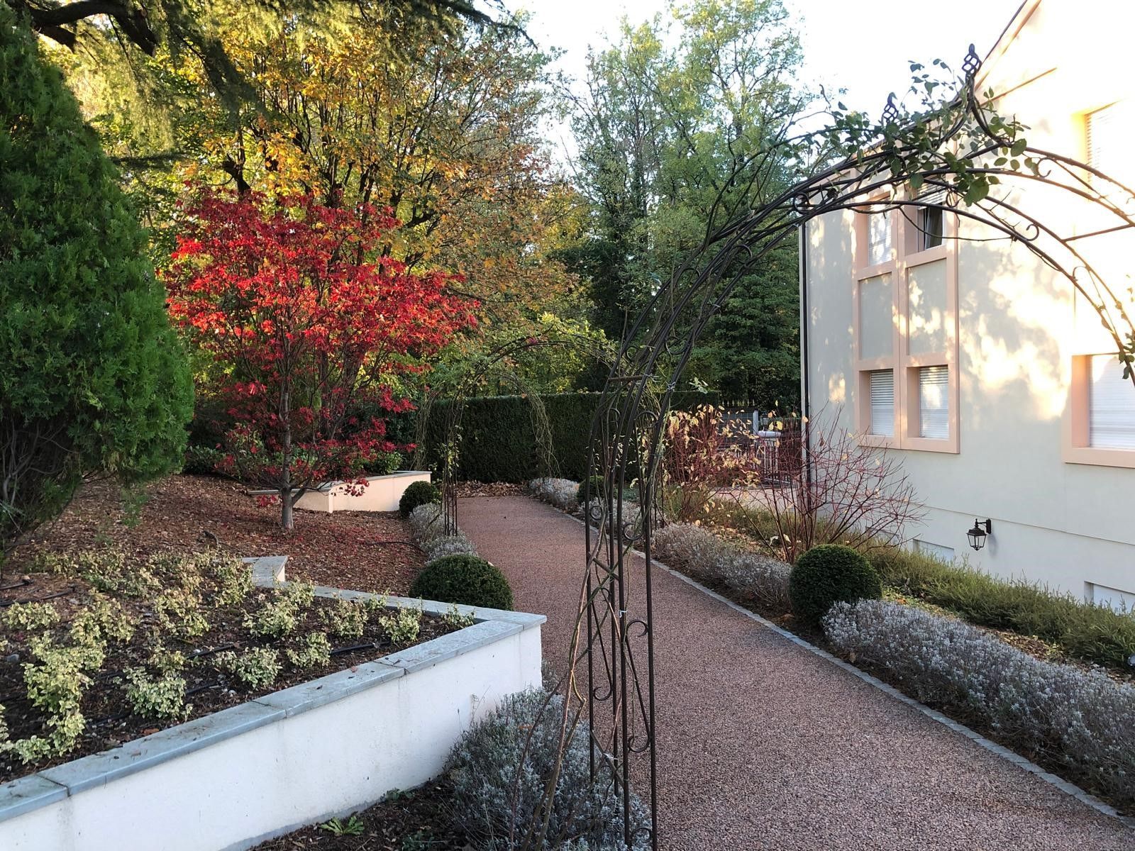 surface plantée