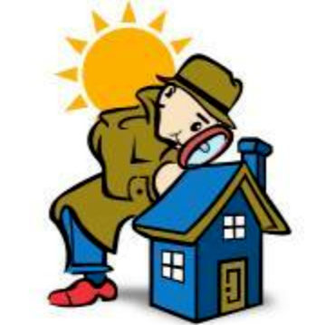 Roof Cleaning Inspector Moss