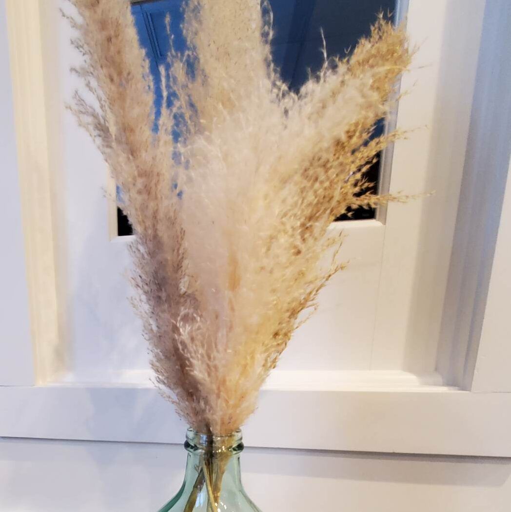 Pampas grass plumes in a green glass vase against a white wall with a window.
