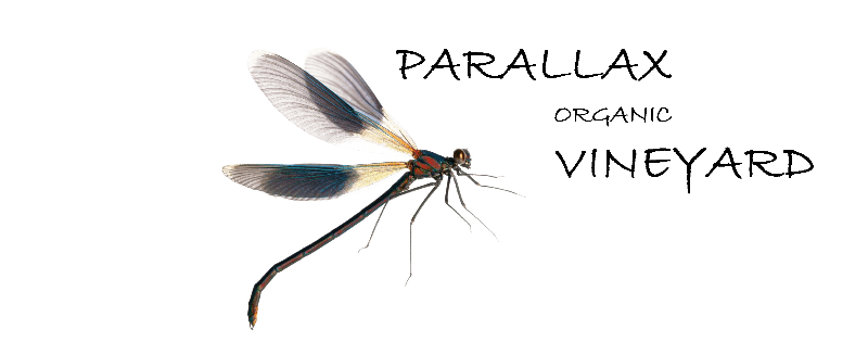 Parallax Organic vineyard logo