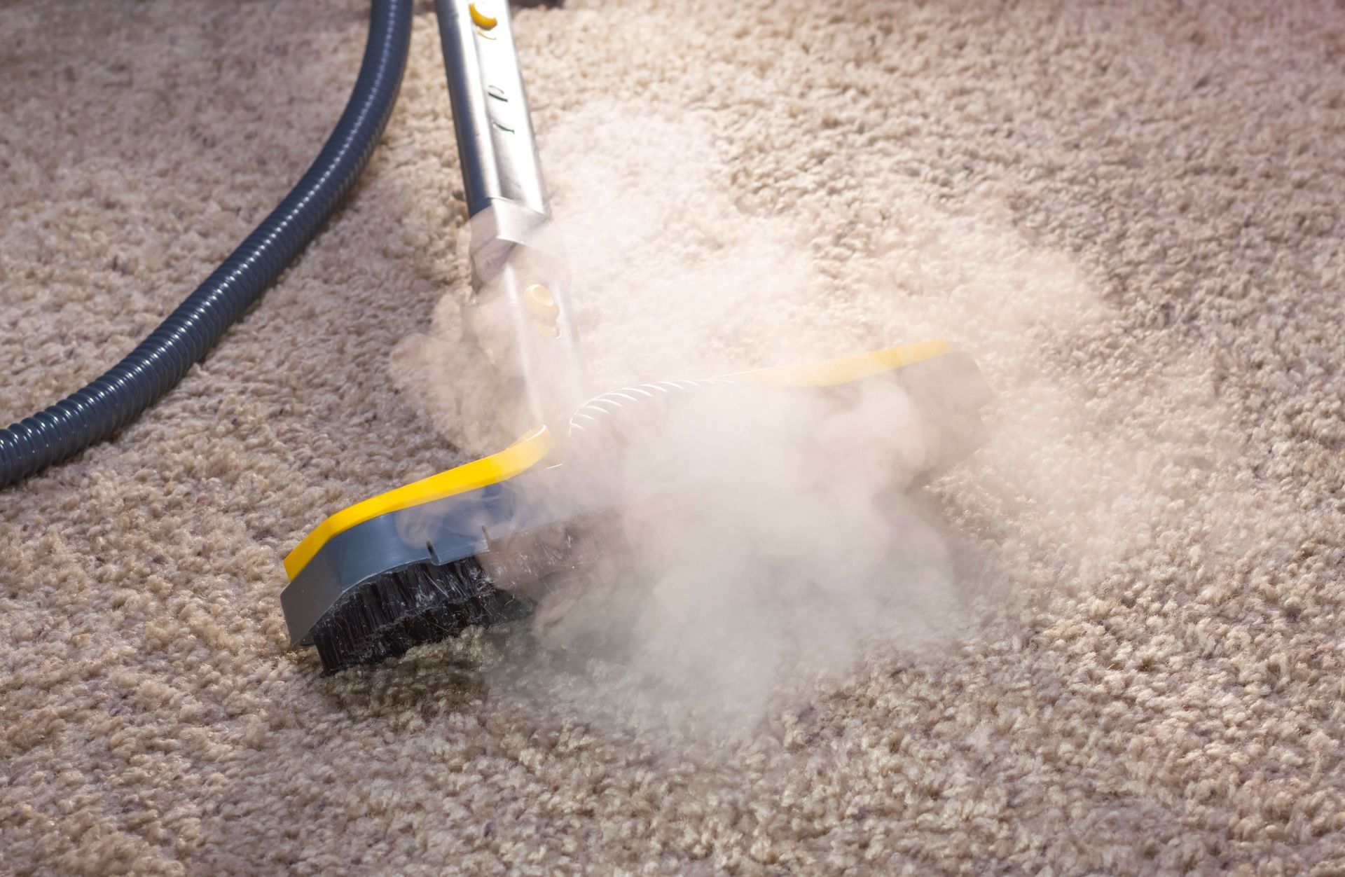 carpet steam cleaning method