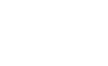 Quality Sealcoating Inc. logo