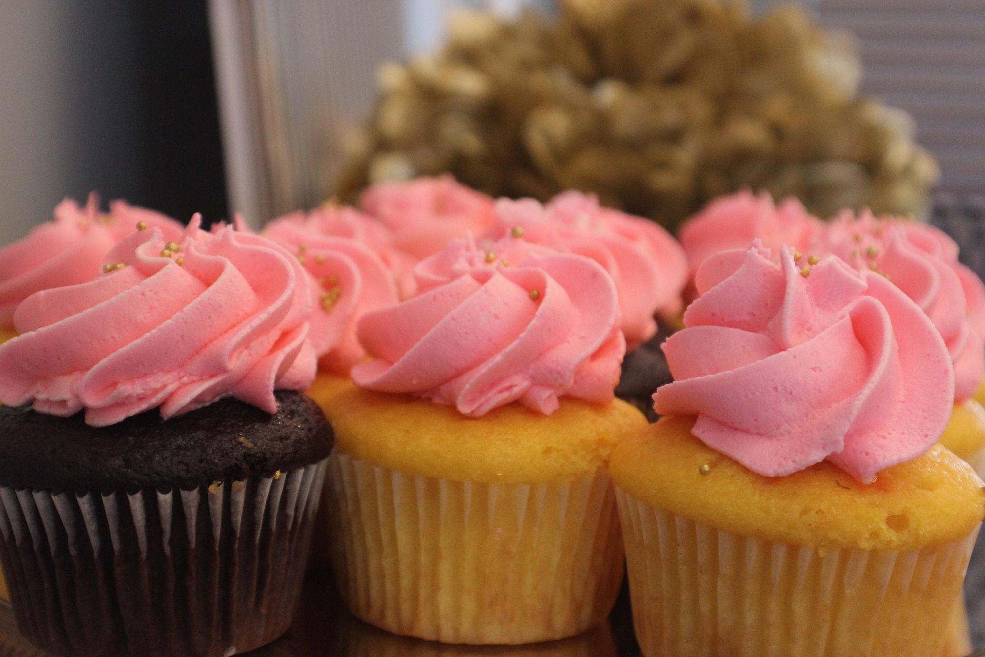 Lavish Creations by Tiffany Launch Party | Waldorf, MD