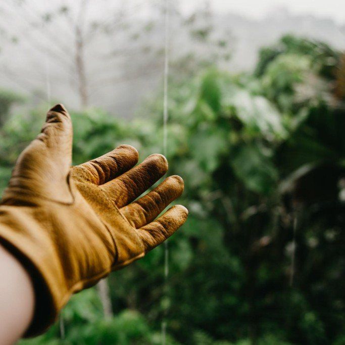 A close up of a person 's hand wearing a glove