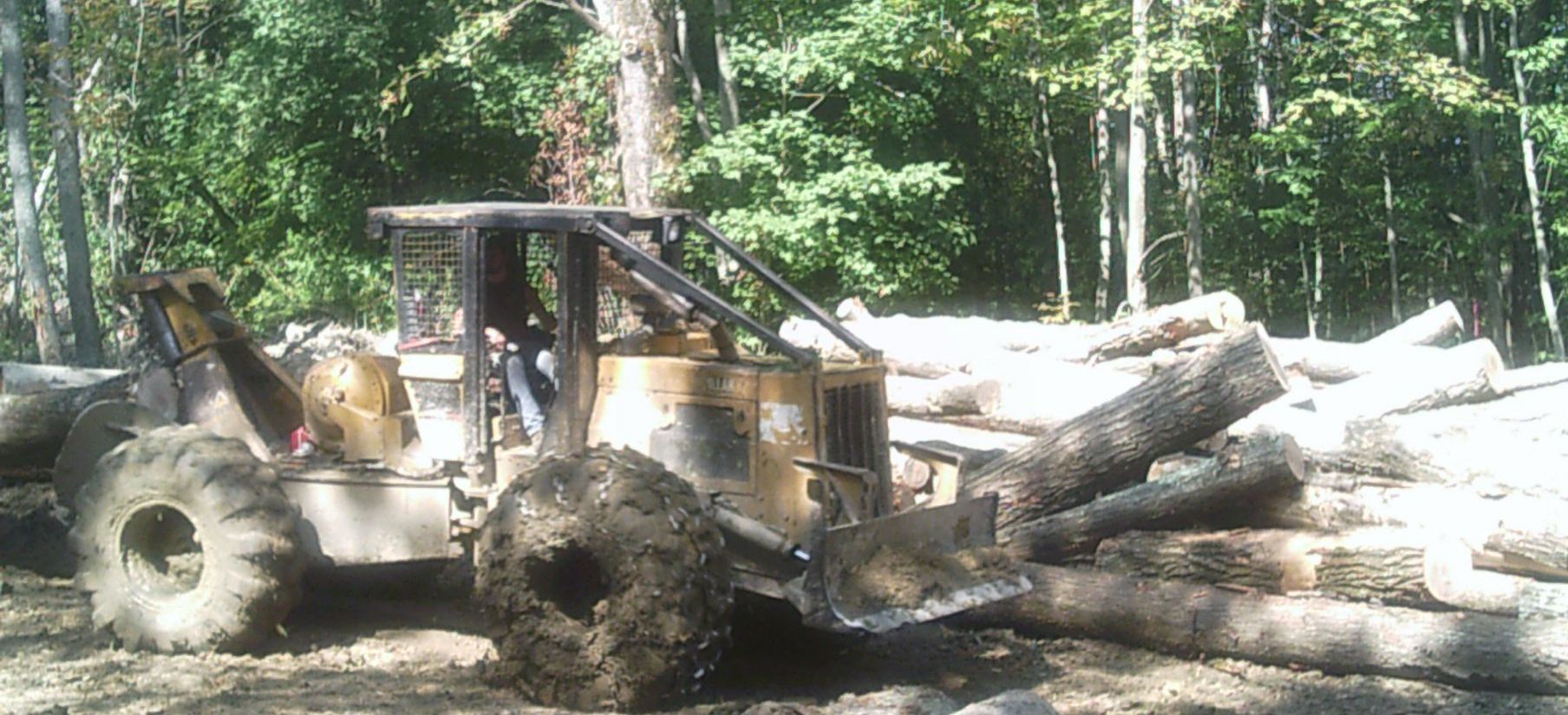 A bulldozer is driving through a pile of logs in the woods.
