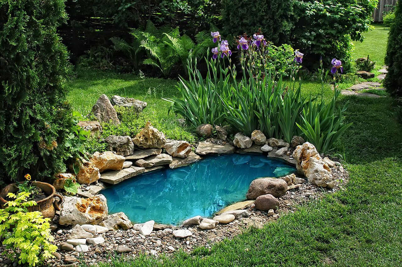 A small pond surrounded by rocks and plants in a garden.