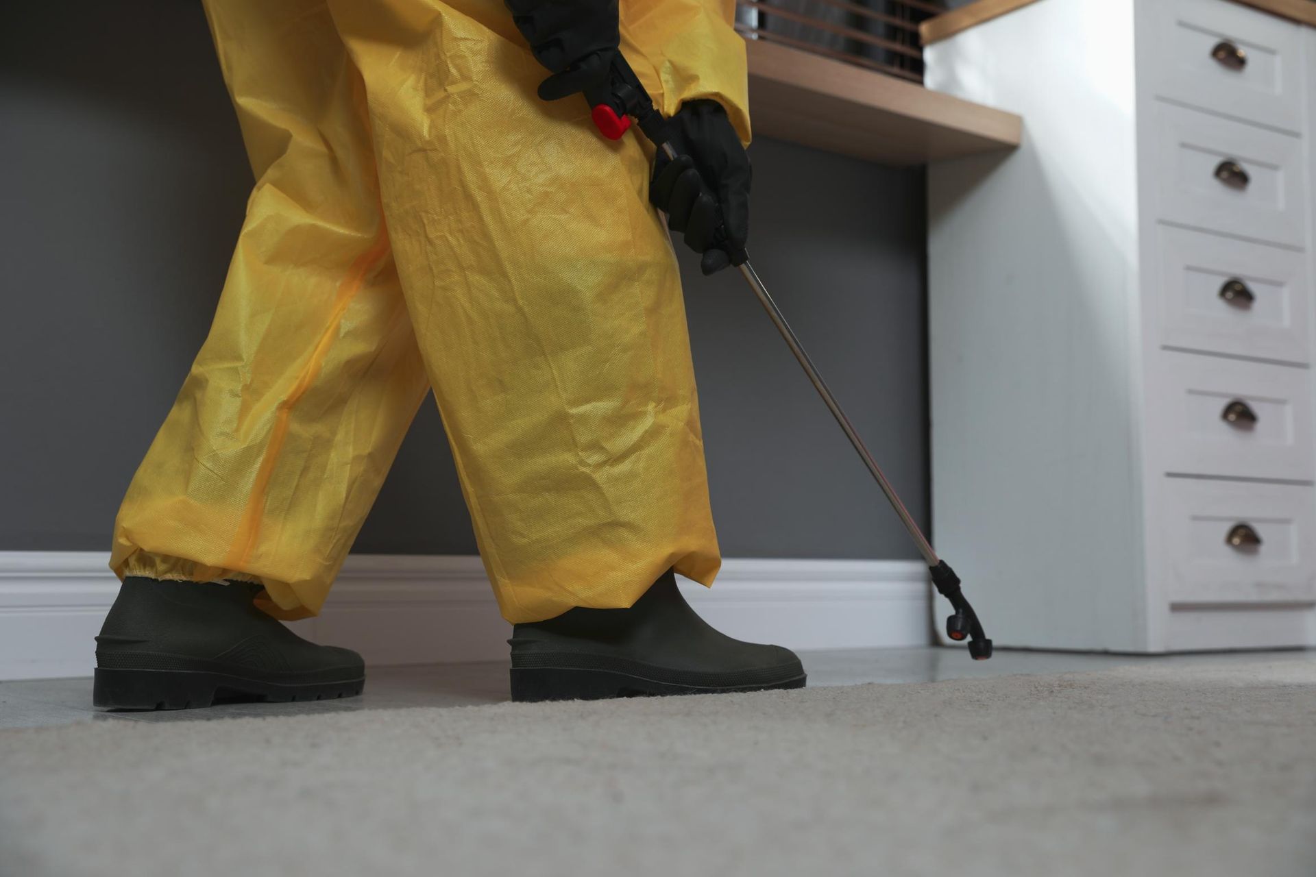 Close-up image of someone delivering pest control at a home.