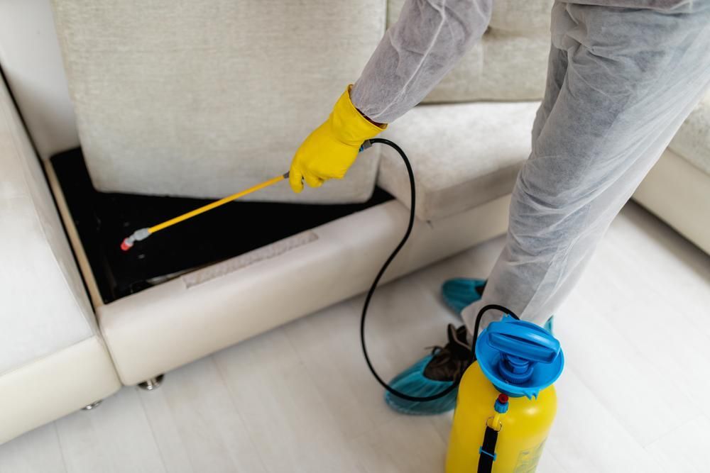 A Person is Spraying a Couch With a Spray Bottle — Territory Pest Control In Nightcliff, NT
