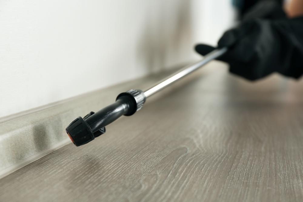 Close-up image of pest control occurring inside someone's property.