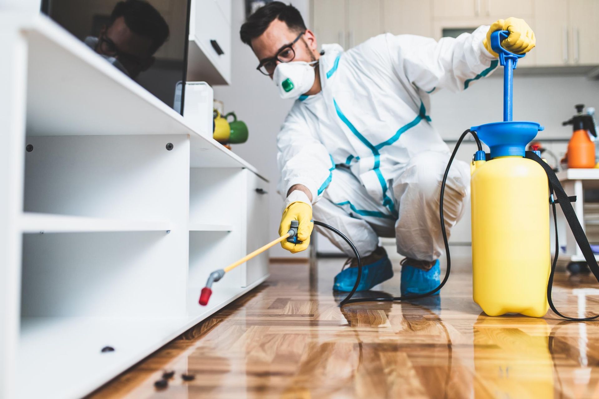 A Man in a Protective Suit is Cleaning a Living Room With a Sprayer — Territory Pest Control In Humpty Doo, NT