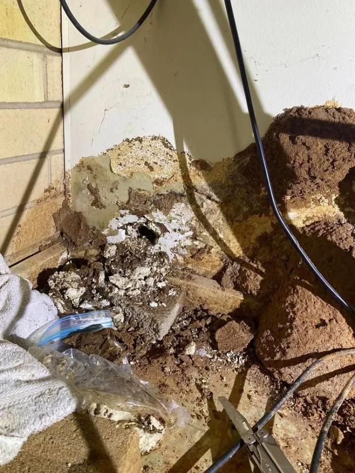 Exposed Bricks for Termite Treatment in Darwin