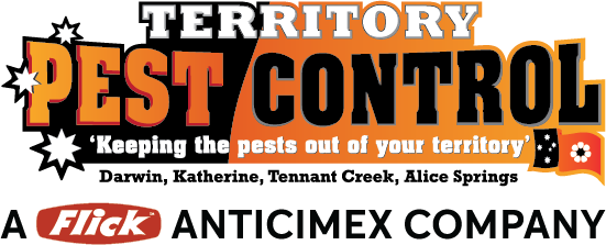 Pest Control in Darwin