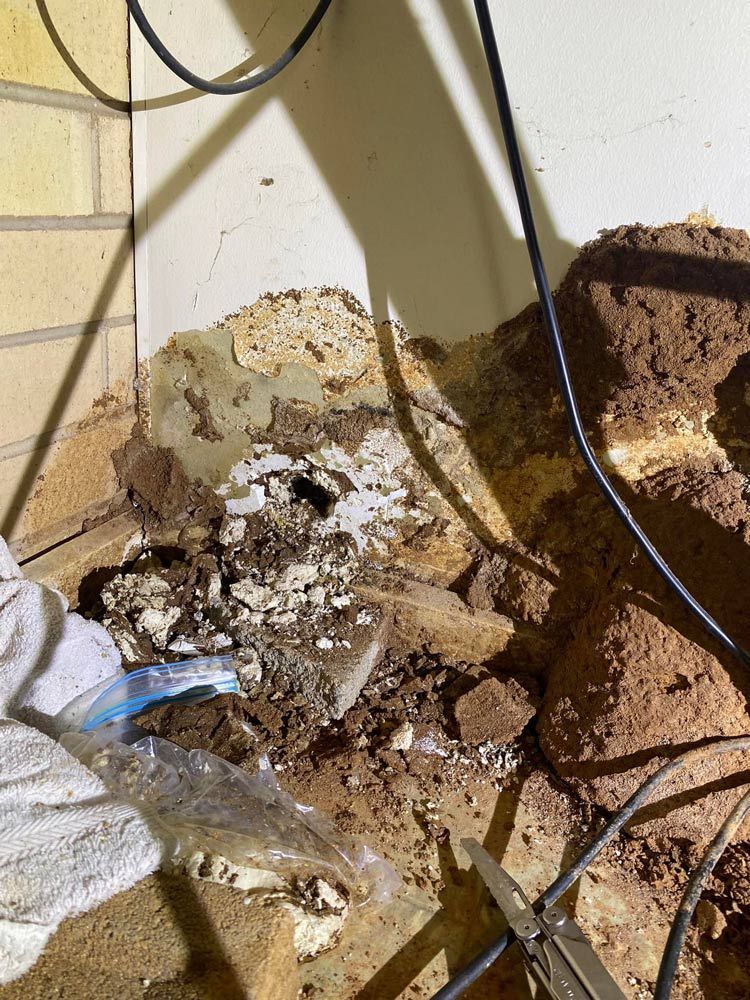 A Pile of Dirt and Electrical Wires in a Room — Territory Pest Control In Winnellie, NT
