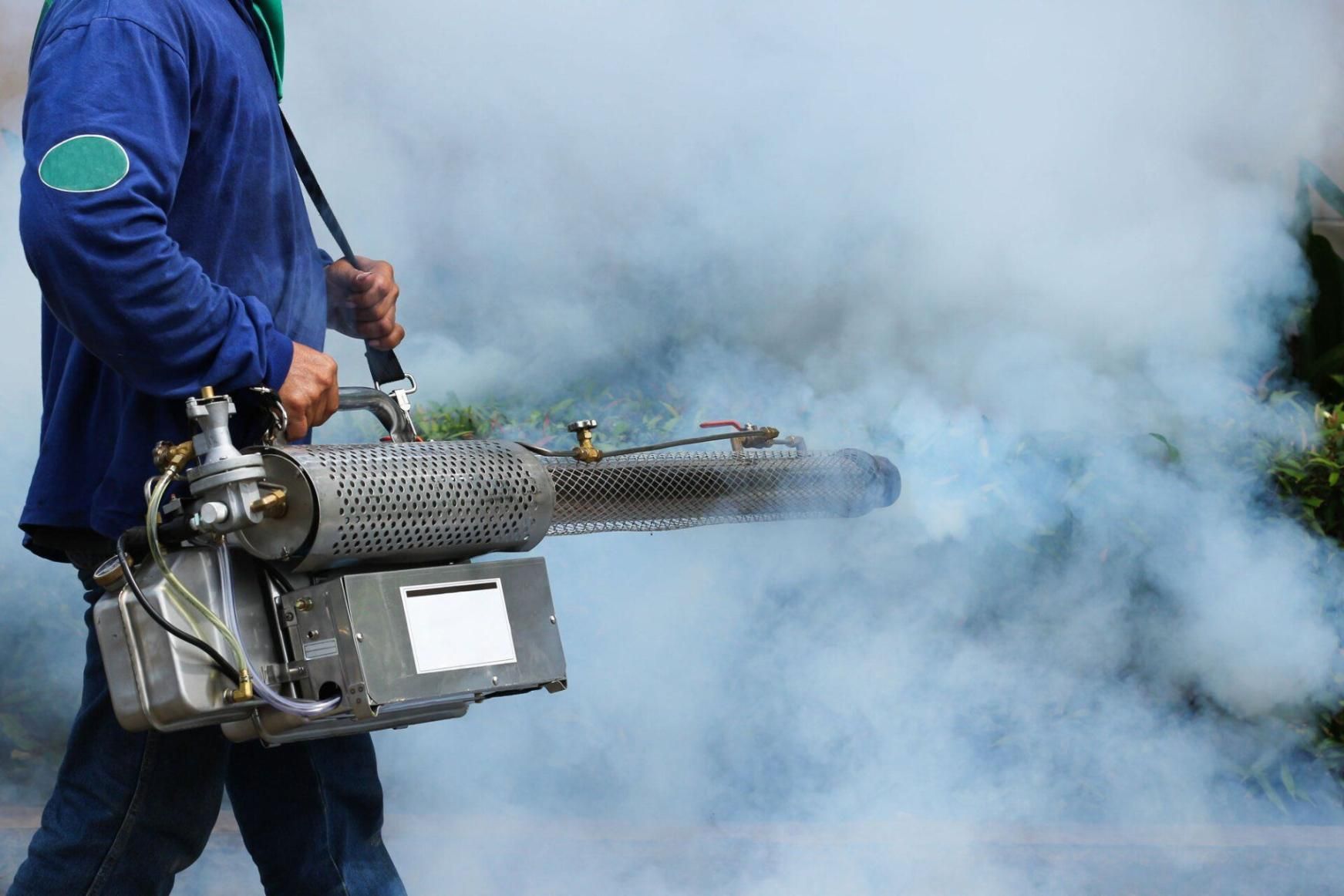 A Man is Using a Machine to Spray Smoke on Trees — Territory Pest Control In Palmerston, NT