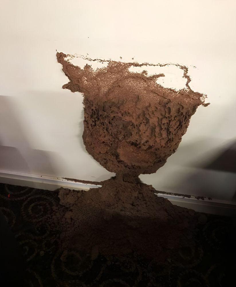 A pile of dirt is sitting on the floor in front of a white wall— Territory Pest Control In Tennant Creek, NT