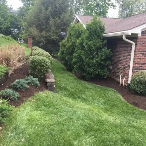 A lush green yard with a brick house in the background.