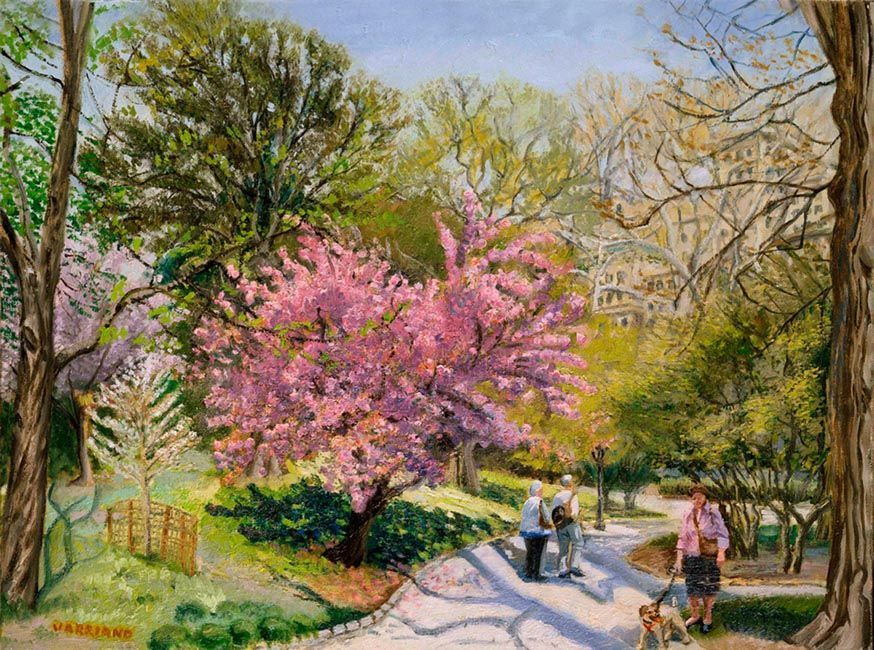 Cherry Blossom | Landscape Oil Painting by John Varriano