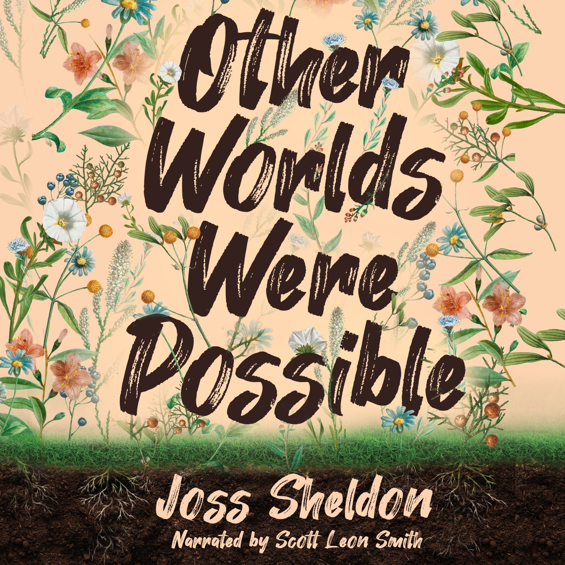 A book called other worlds were possible by joss shelden