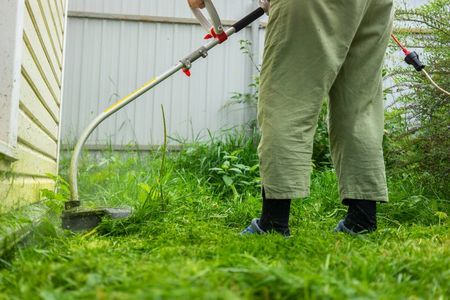 Lawn with electric edge trimmer
