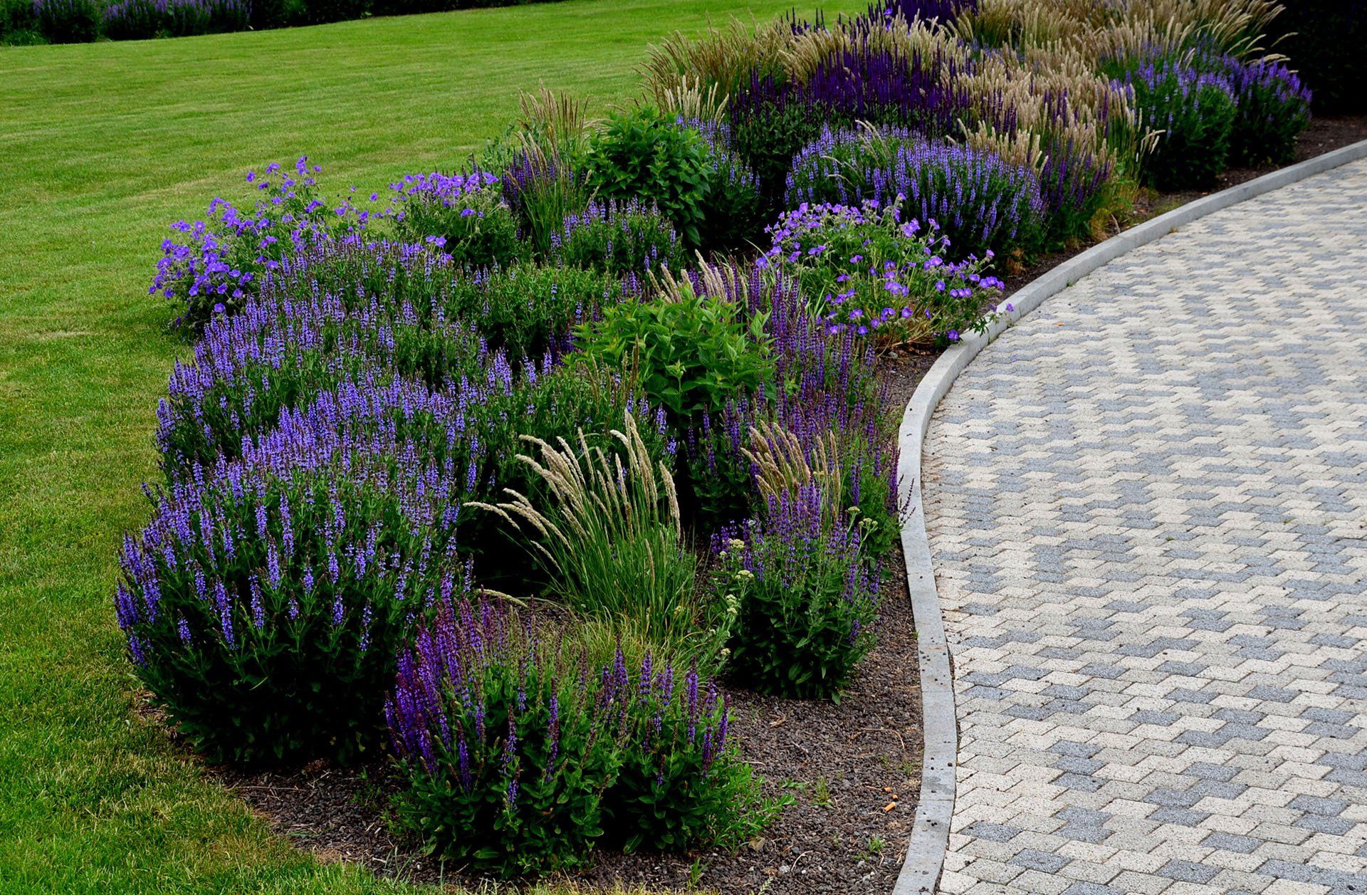 Garden Bed Outlined by Decorative Curb and Paver Stones