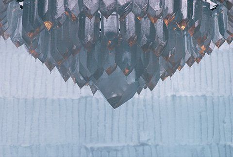 Un gros plan d'un lustre suspendu au plafond.