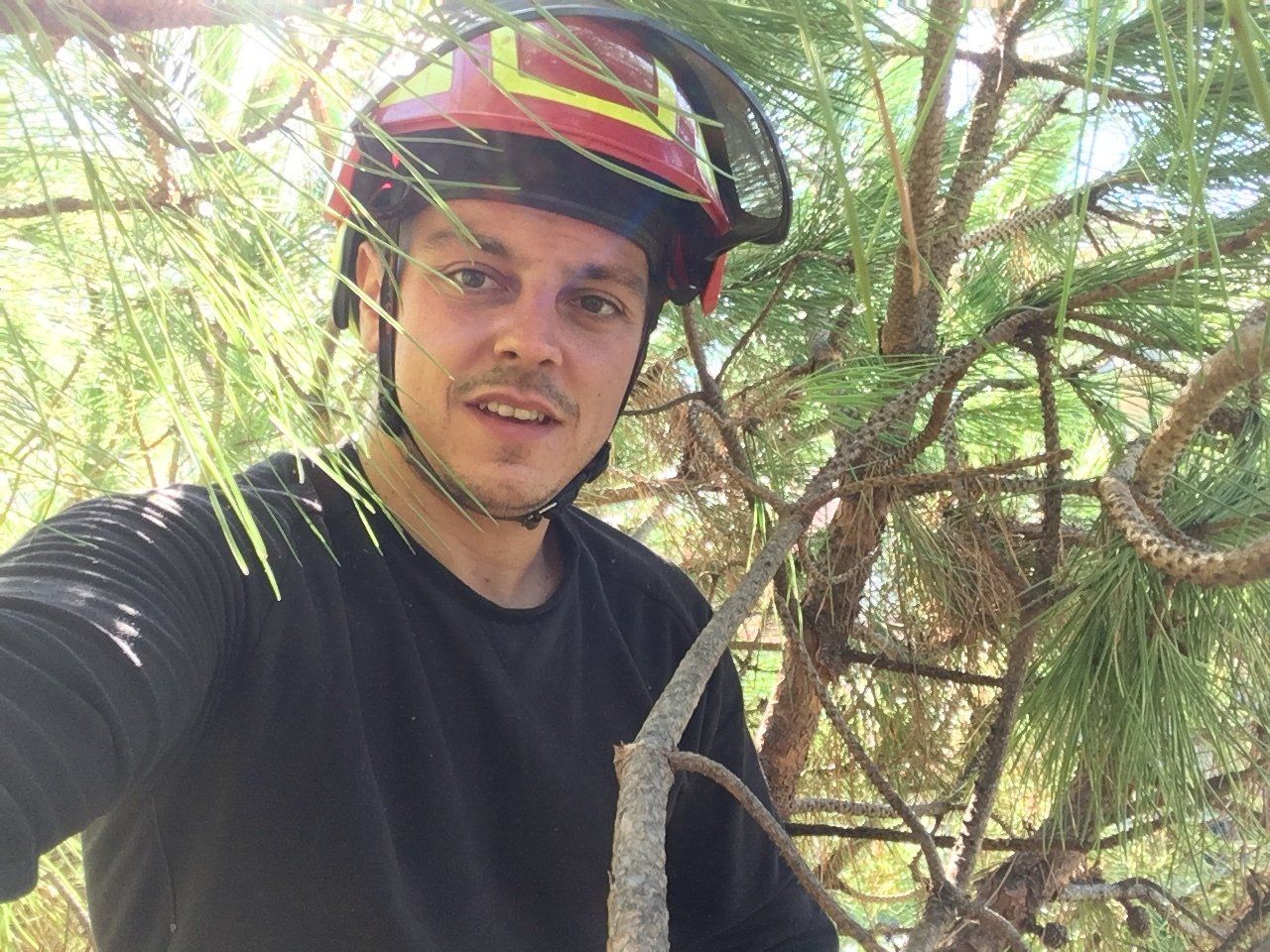 camion dell'azienda per il recupero degli scarti dopo potatura