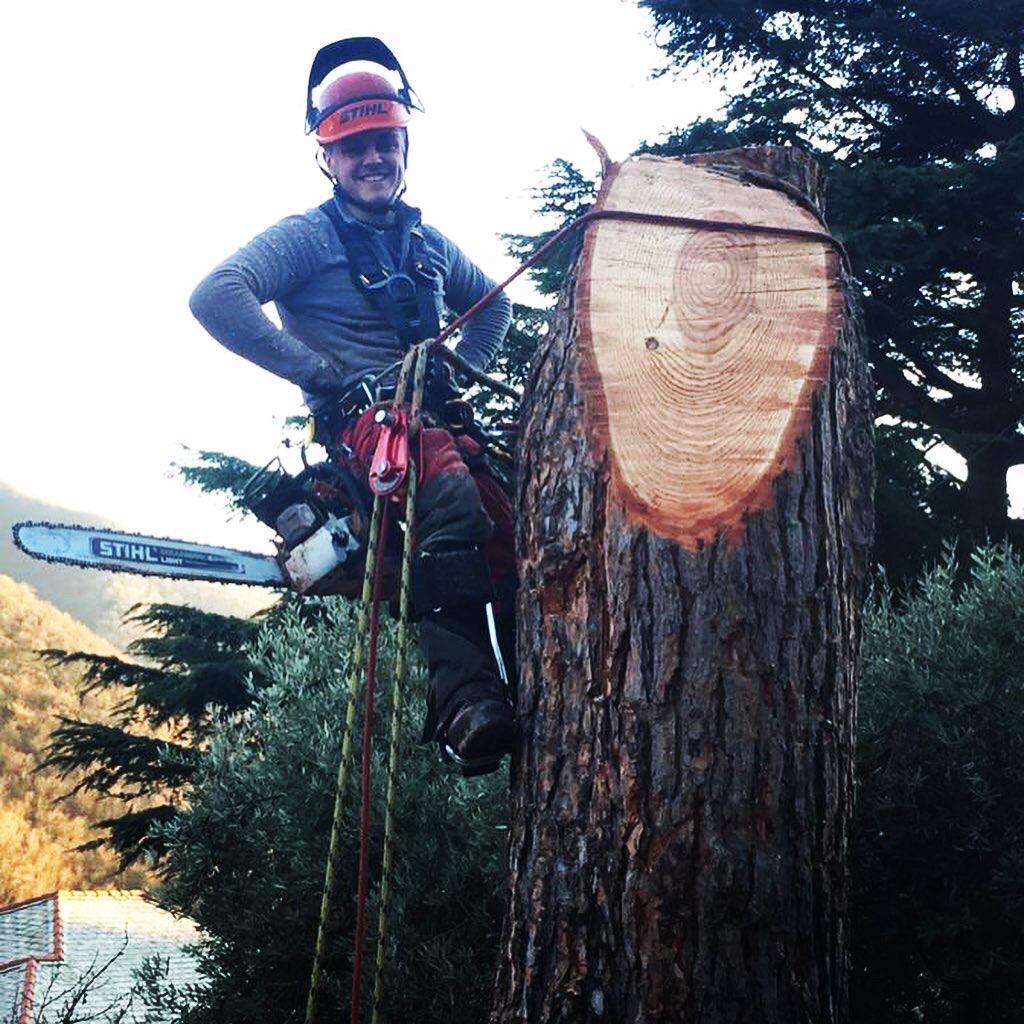 intervento su un albero ad alta quota