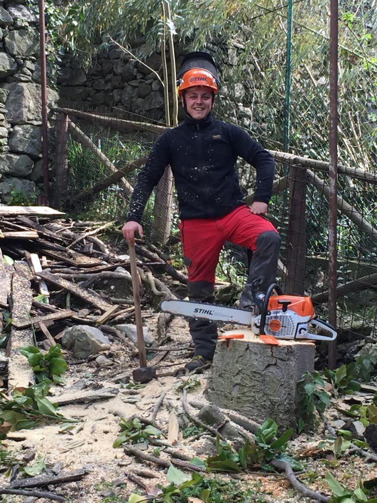 addetto dell'impresa dopo aver tagliato un albero