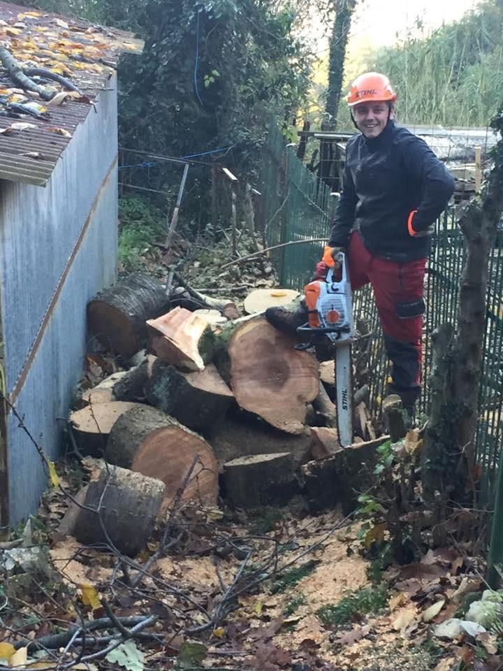 operaio con motosega dopo aver abbattuto un albero