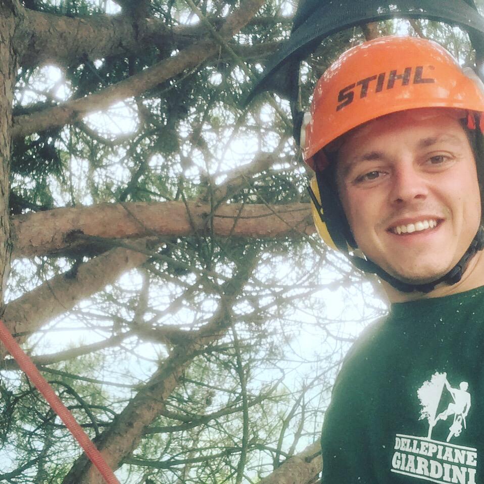 operaio con caschetto mentre taglia un ramo