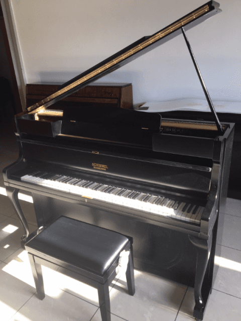 Pianoforte a coda nero