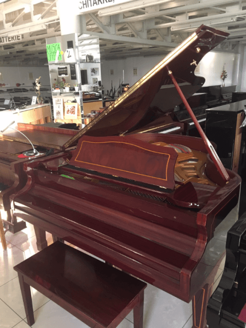 Pianoforte a coda lucido