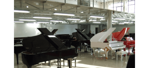 Pianoforti a coda in esposizione