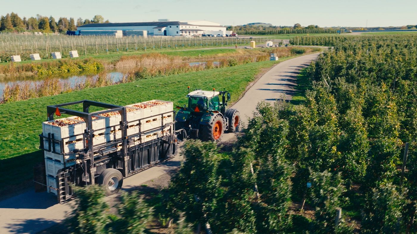 Eco-Friendly Apple Packaging & Recycling