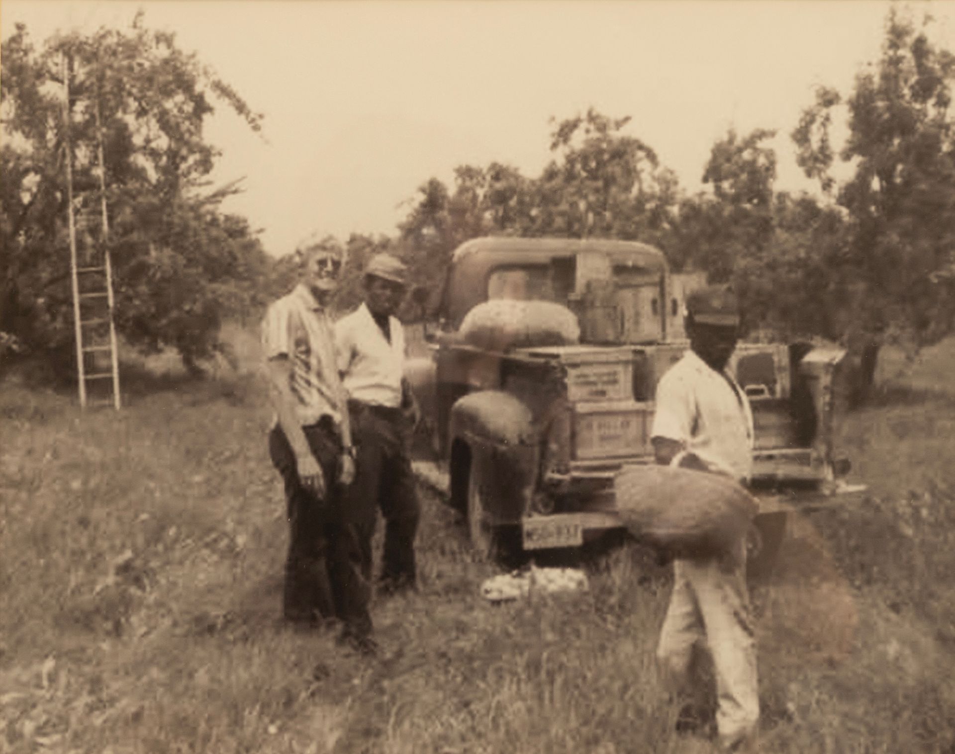 Canadian Retail & Wholesale Apple Supplier