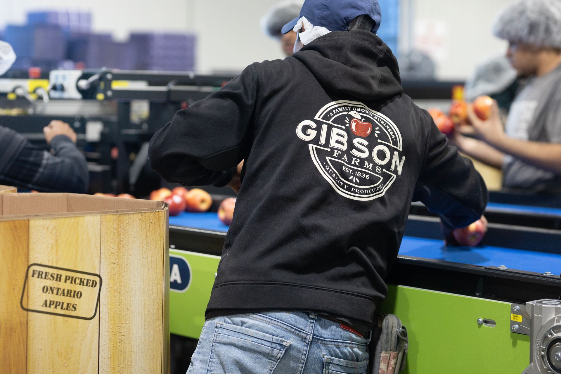 Canadian-Grown Apples for Every Season