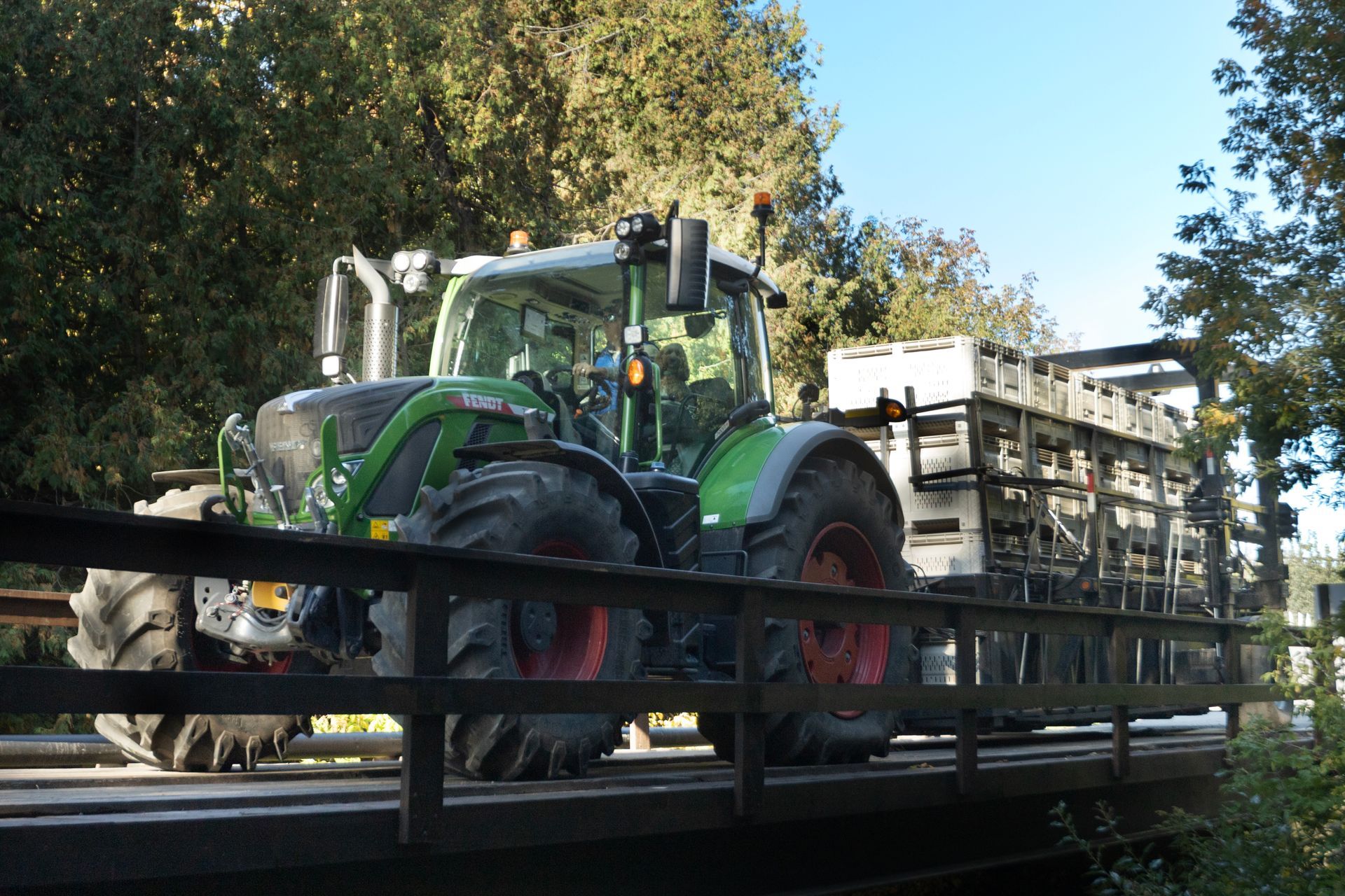 Emerald Crisp™ Green Apple – Exclusive to Canada