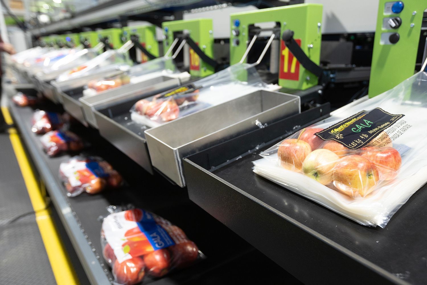 Premium Apple Harvest Ontario Farm