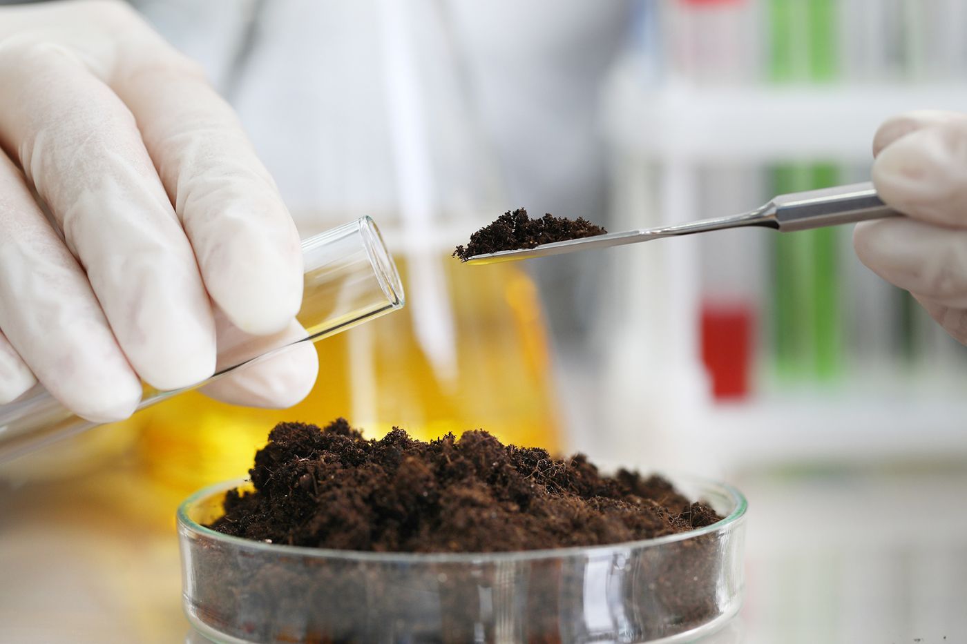 Award-Winning Ontario Apple Farm