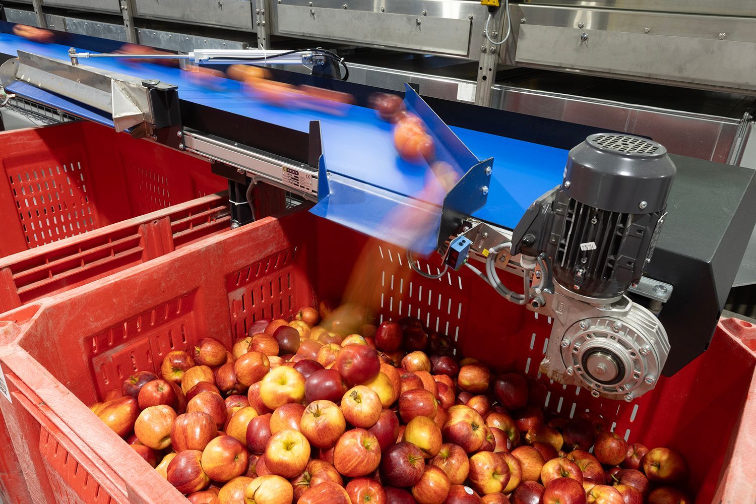 Gentle Apple Harvesting & Handling Process