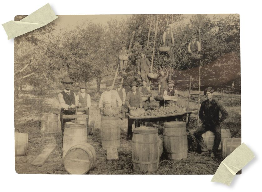 Emerald Crisp™ Ontario Apple Grower