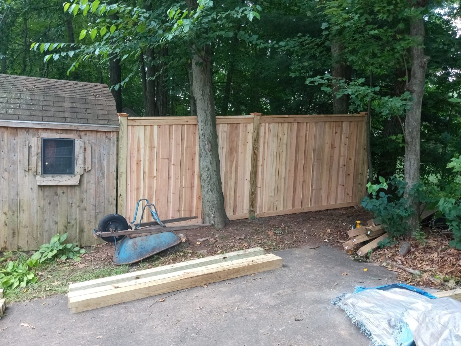 A wooden fence is being built in a backyard next to a shed.