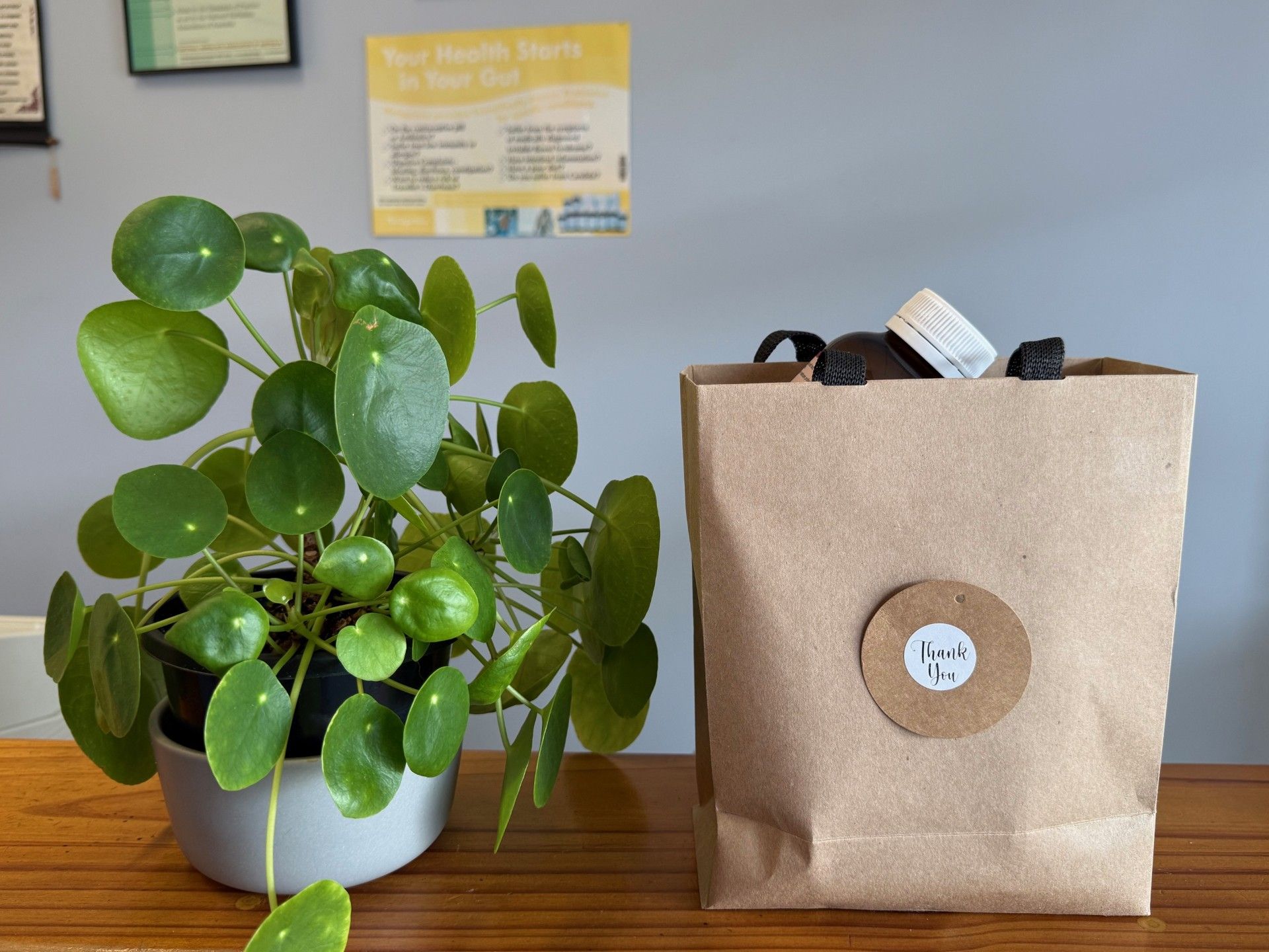 A Potted Green Plant Next to A Brown Paper Bag — Julie Taylor Naturopath in Pialba, QLD
